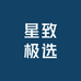 星致极选