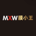 膜小王车膜