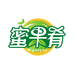 威海蜜果肴无花果