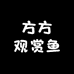 方方观赏鱼