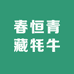 春恒青藏牦牛