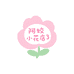 阿姣小花店3
