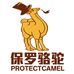 保罗骆驼童鞋