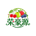 荣豪源高端水果