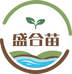 盛合苗五常大米