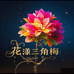 花漾三角梅园艺