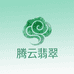 腾云翡翠片料
