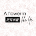 花开半夏轻奢女装