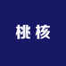 大姐家的桃核文玩店