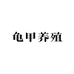 龟甲养殖