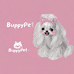 BuppyPet宠物手作