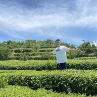 松阳县小邵茶叶个体店