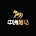 中洲黑马
