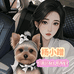 杨小蹭宠物生活馆