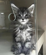 想你的时候数码店