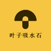 叶子吸水石