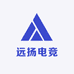 远扬电竞