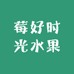 莓好时光水果