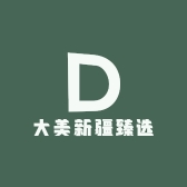 大美新疆臻选
