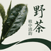 植中清韵野茶