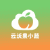 云沃果小蔬