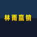 林雨赢销企业店