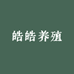 皓皓养殖