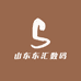 山东东汇数码