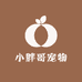 小胖哥宠物