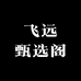 飞远甄选阁