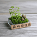 森屿绿植小铺