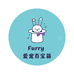 Furry爱宠百宝箱