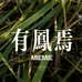 有凤焉