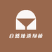 自然臻选绿植