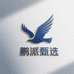 鹏派甄选