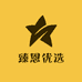 臻恩优选