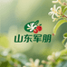 山东军朋金银花山楂干批发