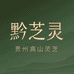 黔芝灵滋补养生专营店
