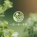 一花一木一世界
