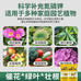 花之蕾有机园艺店