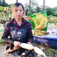 蔡藕姐姐莲藕店