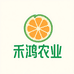烟台禾鸿农业精品店