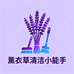 薰衣草清洁小能手