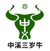 中溪三岁牛官方旗舰店