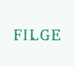 FILGE斐知相机美拍拍店