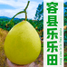 容县乐乐田食品店