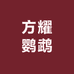 方耀鹦鹉