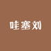 哇塞刘