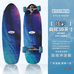 陆地冲浪滑板