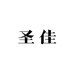 圣佳商贸供应链